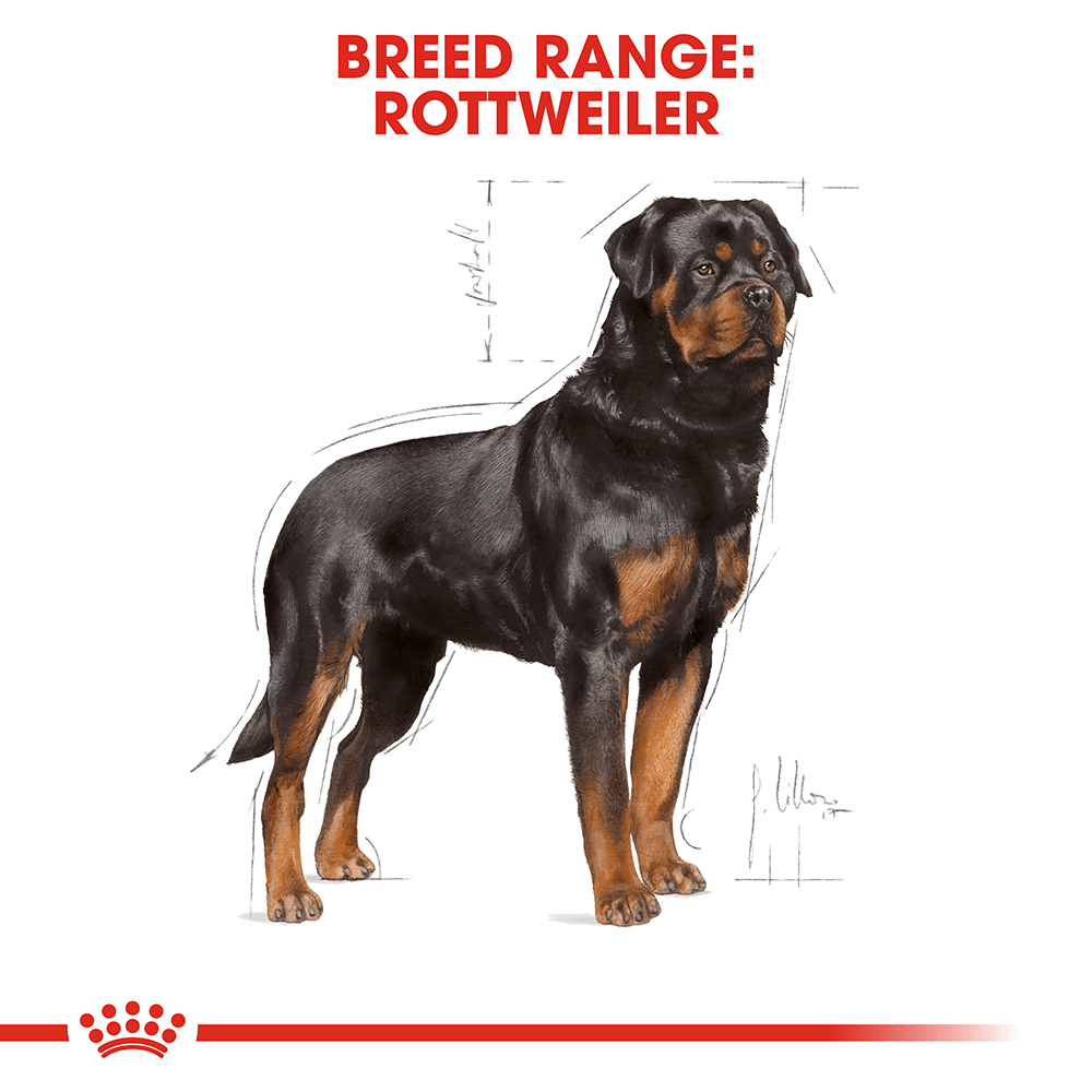 Royal Canin Rottweiler Adult Dog Food
