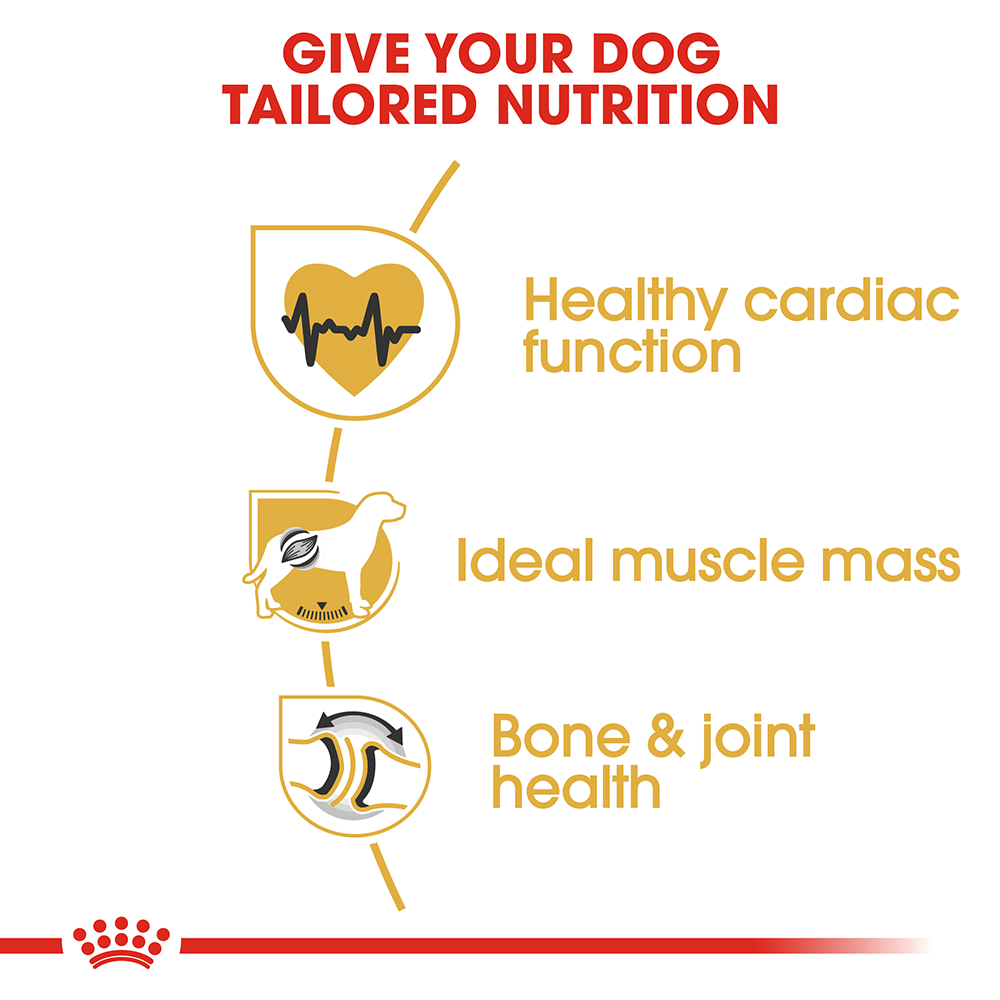 Royal Canin Rottweiler Adult Dog Food