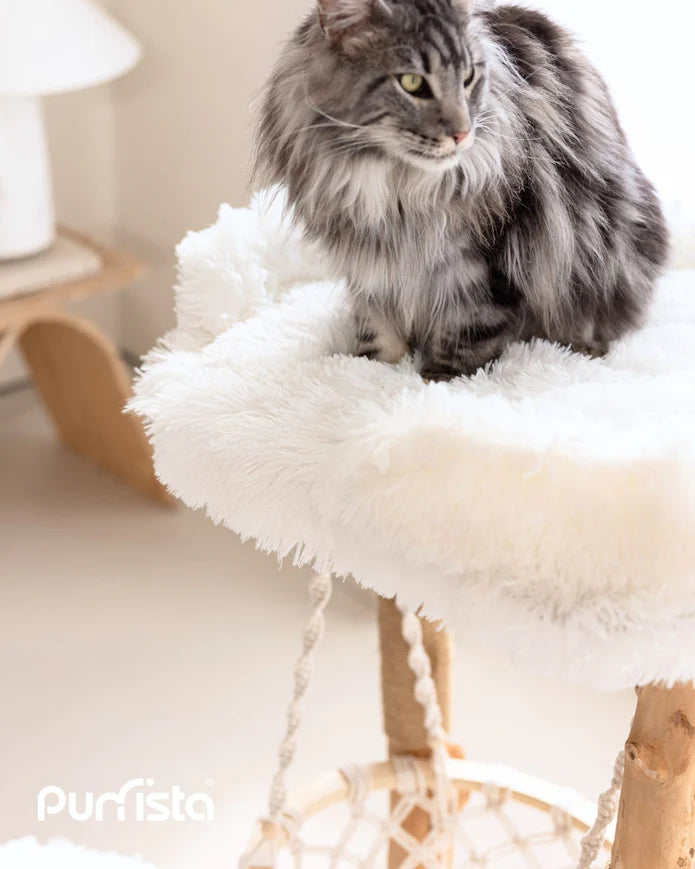 Purrista Natural Wood Hammock Cat Tree 92cm – White