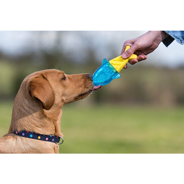 Rosewood Chillax Cool Soak Dog Toy