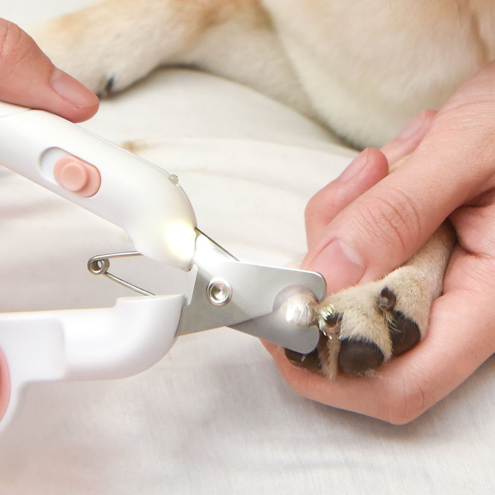 Pakeway T10 Pet Nail Clipper (with LED)-Pink