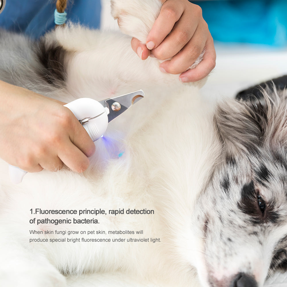 Pakeway T10 Pet Nail Clipper (with LED)-Pink