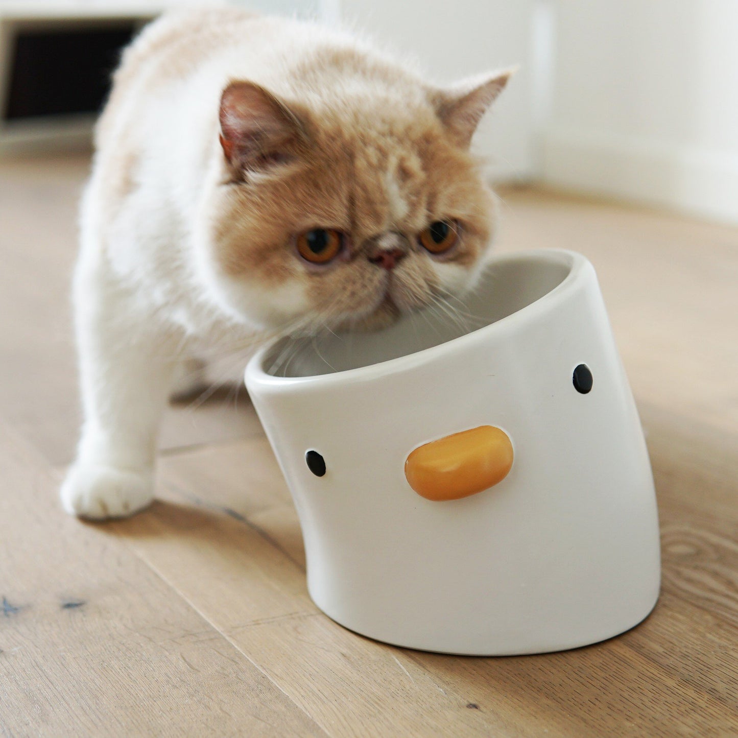 Ceramic Elevated Chick Cat Bowl, 12 Degree Angle