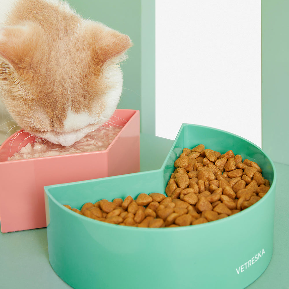 VETRESKA Fruity Pet Bowl – Watermelon