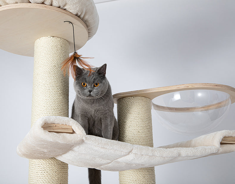 HONEYPOTCAT® Solid Wood 6-Layer PRO Cat Tree 189cm arrive in 2 months