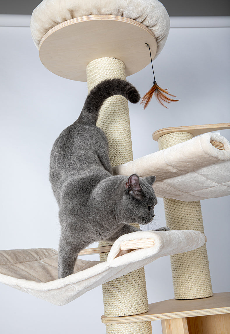 HONEYPOTCAT® Solid Wood 6-Layer PRO Cat Tree 189cm arrive in 2 months