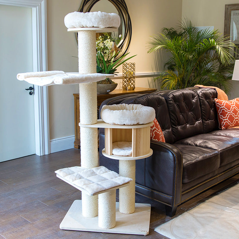 HONEYPOTCAT Solid Wood 4-Layer Solid Wood Cat Tree best quality Arrive in 3 months.