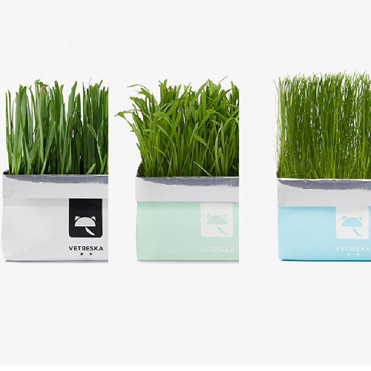 VETRESKA Cat Grass Soilless Seeds