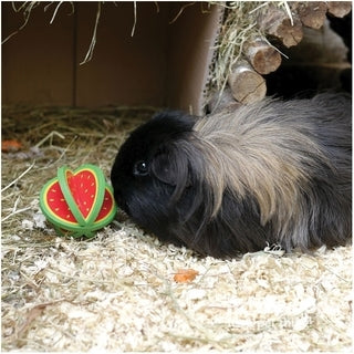 Rosewood® Woodies Fruity Rollers