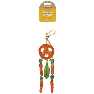 Rosewood® Carrot Dream Catcher