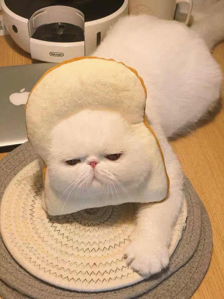 Soft Bread Slice Elizabeth Pet Recovery Cone for Cats Small Dogs