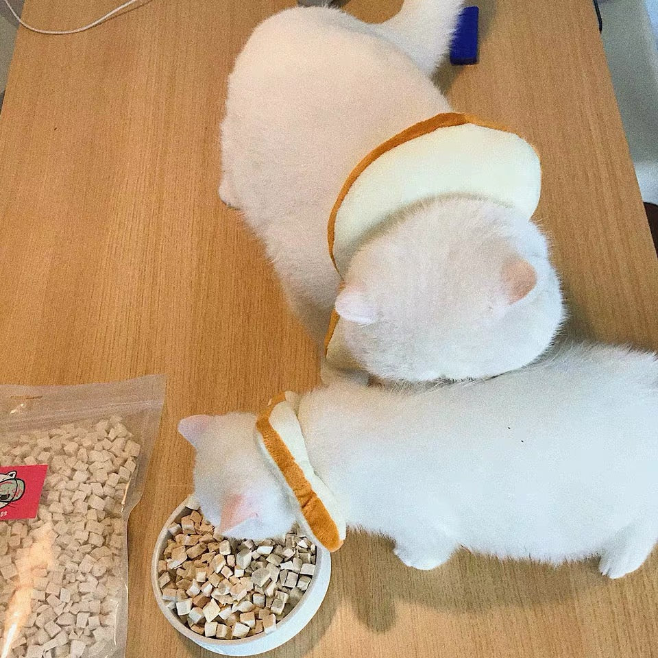 Soft Bread Slice Elizabeth Pet Recovery Cone for Cats Small Dogs