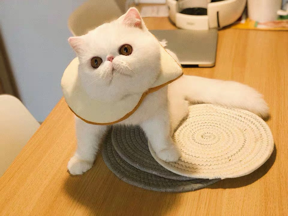 Soft Bread Slice Elizabeth Pet Recovery Cone for Cats Small Dogs