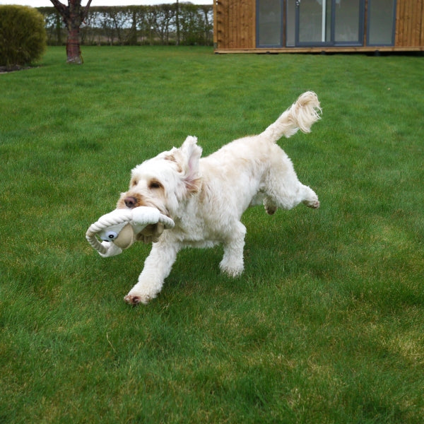 Rosewood Riverside Duck