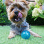 Rosewood BioSafe Puppy Treat Ball