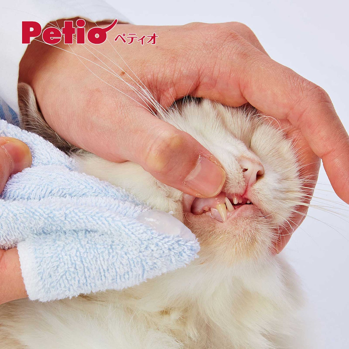 Petio Pet Dental Gel 50g
