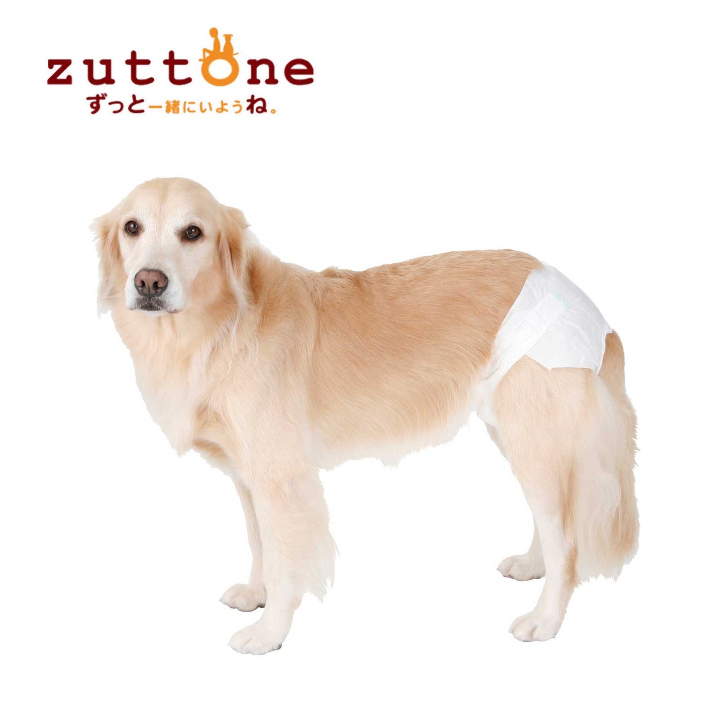 Petio Zuttone Disposable Paper Diaper Nappy