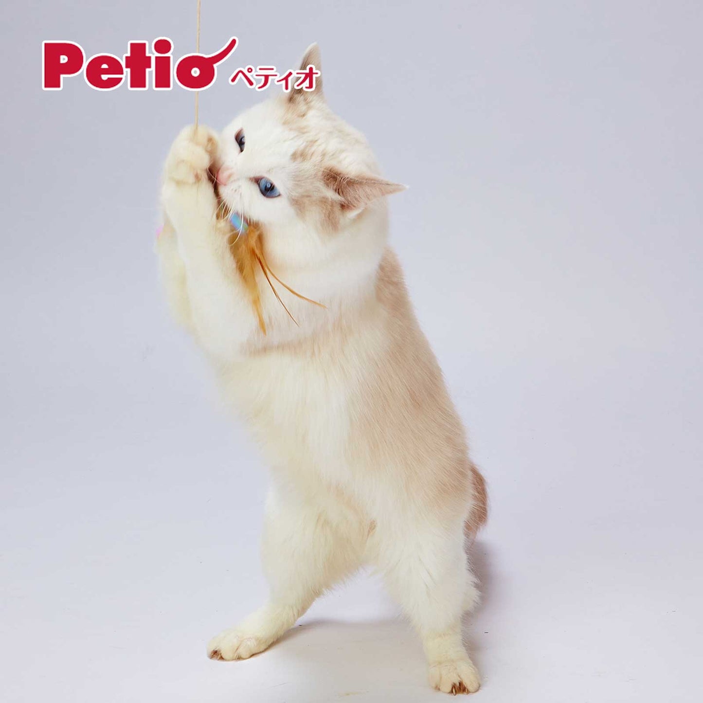 Petio Fluffy Dragonfly Cat Wand