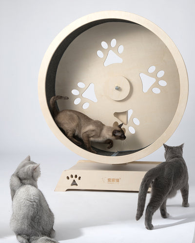HONEYPOT CAT® Cat Wheel Cat Exercise Treadmill Detachable Carpet #190211（Pre-order)