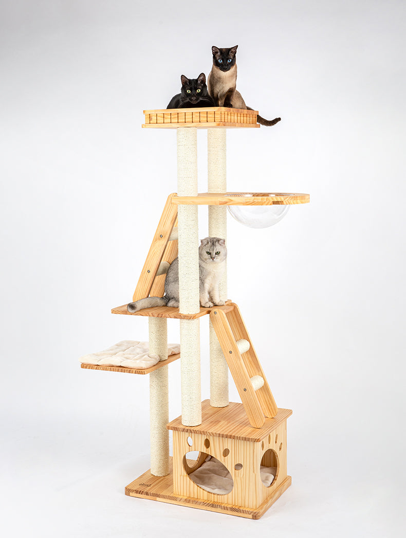 HONEYPOT CAT Solid Wood 5-Level Cat Tree - 180172pro (176cm) Arrive within 3 months