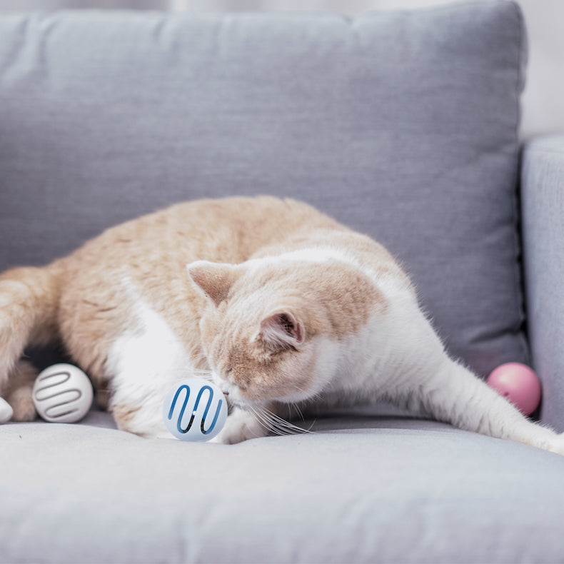 Pidan Toy Ball for Cats