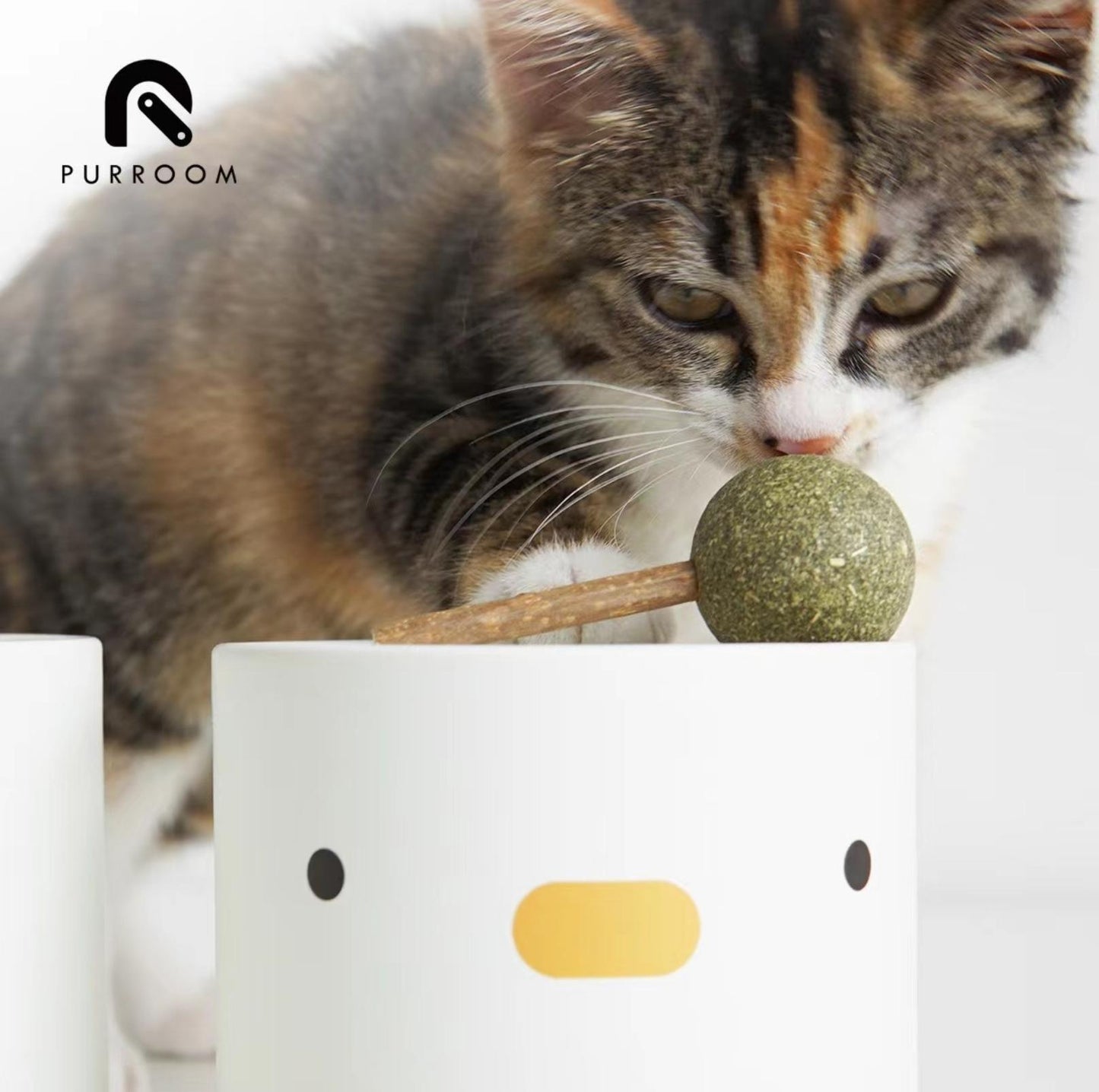 PURROOM Catnip Toy Set - Cat Toys for Boredom Relief and Teeth Clean