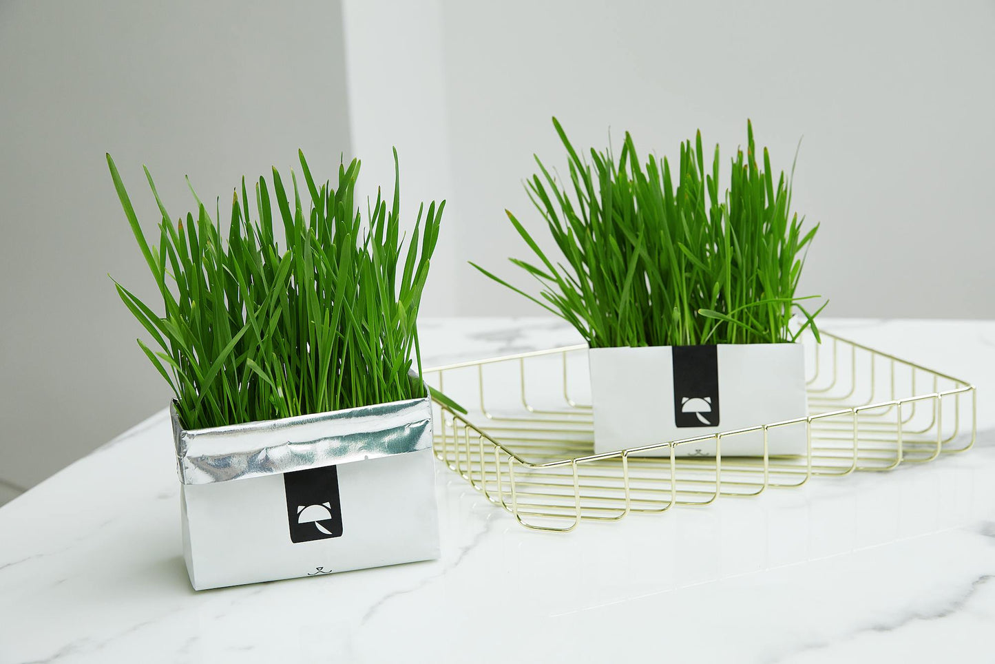 VETRESKA Cat Grass Soilless Seeds