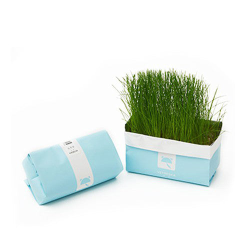 VETRESKA Cat Grass Soilless Seeds