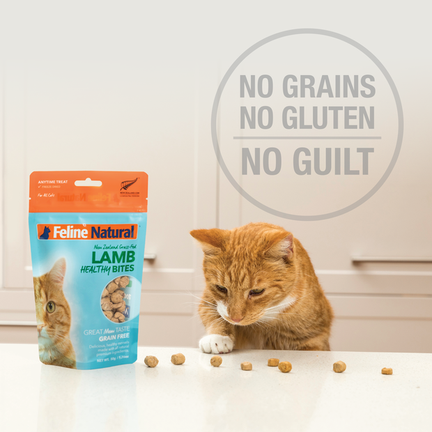 Feline Natural Beef Healthy Bites For Cat 50g Bundi Pet Supplies