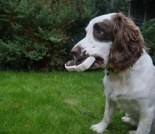 Rosewood Meaty Meat Takeaway Steak