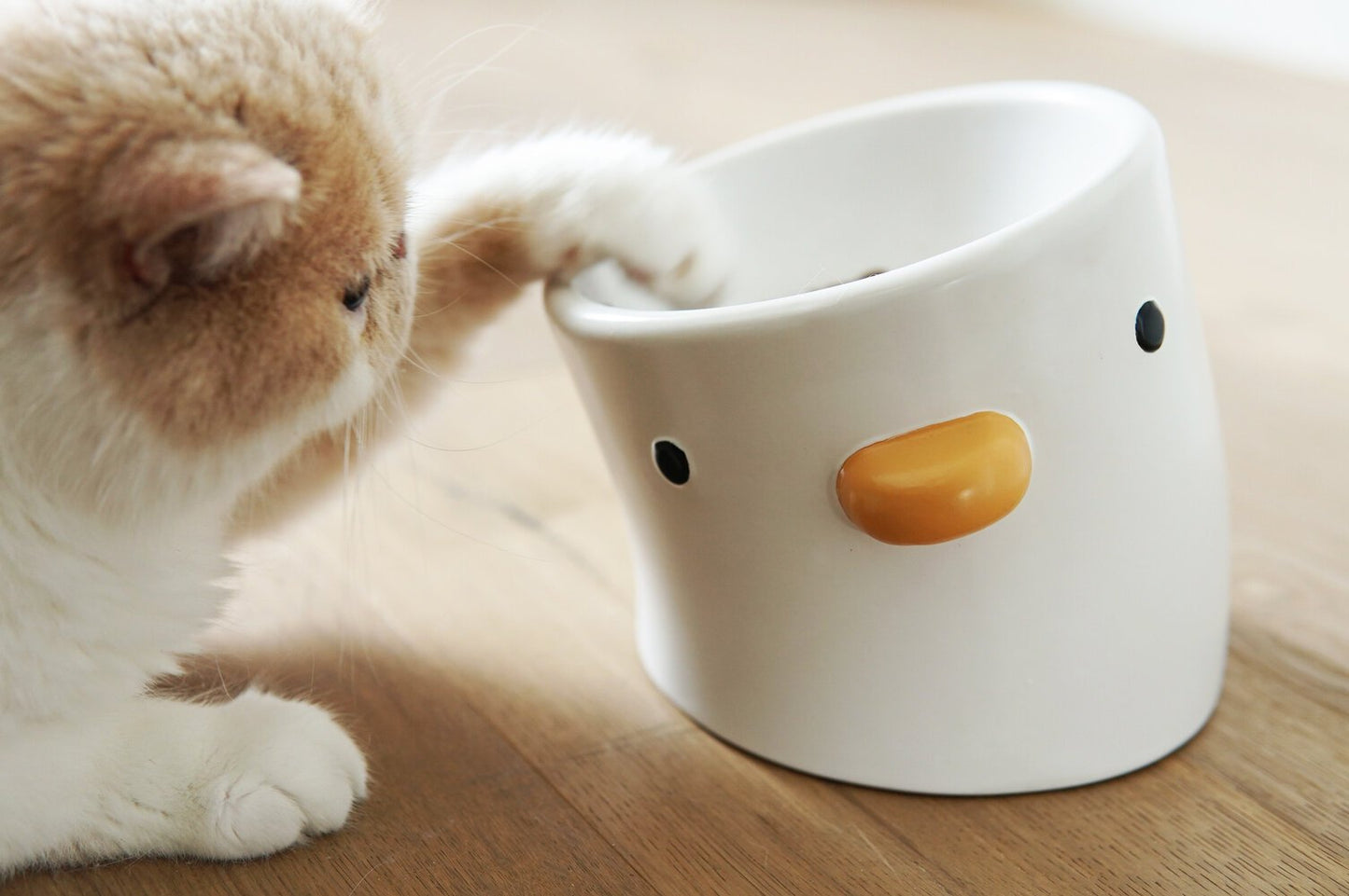 Ceramic Elevated Chick Cat Bowl, 12 Degree Angle