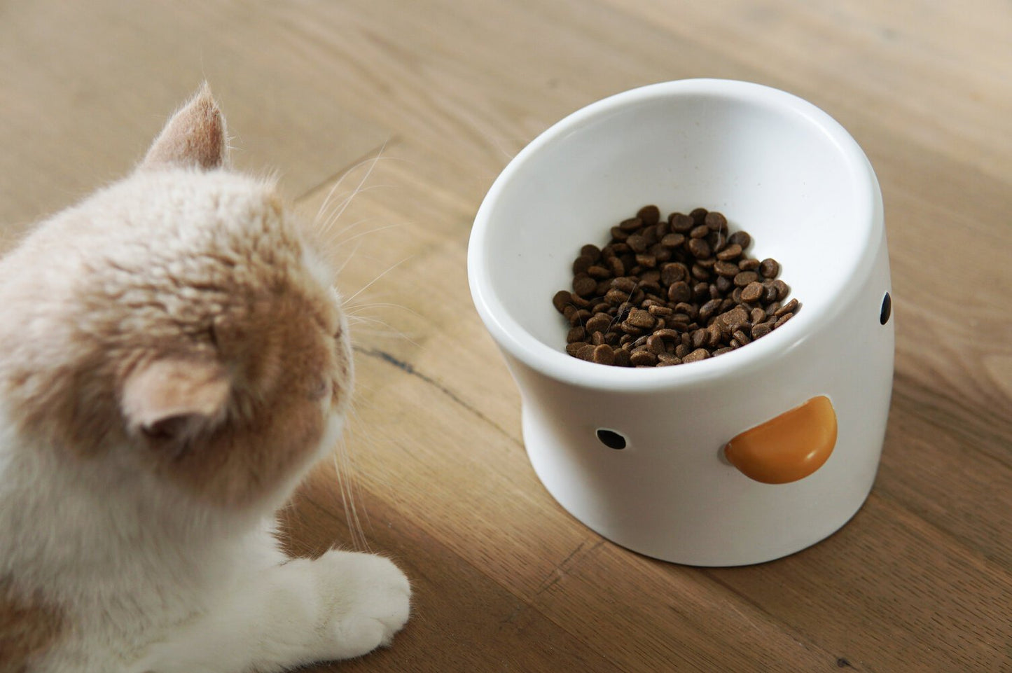 Ceramic Elevated Chick Cat Bowl, 12 Degree Angle