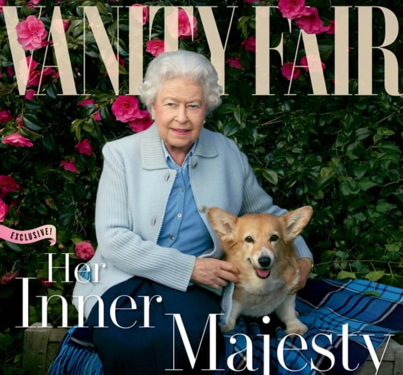 From Palace Mysteries to Paw trace: The Royal Journey to Organic Nutrition - Chokyo Pet