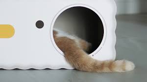 How to Choose the Right Cat Scratcher for your Feline Friend? - Chokyo Pet