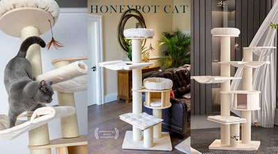Why Choose Honeypot cat Cat Trees from CHOKYO? - Chokyo Pet