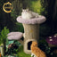 Camily "Mushroom" Cat Climbing Tree