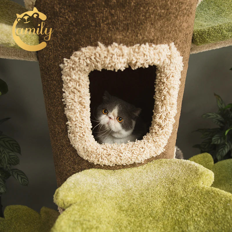 Camily "A Big Tree" Climbing Cat Tree