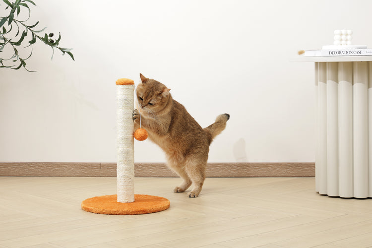 MY FIRST CAT TREE Pompom Orange