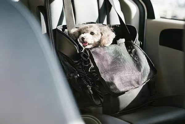 Black Pet Travel Backpack Carrier for Dogs & Cats | Car-Seat Safe Design with Safety Buckle, Mesh Ventilation & Side Storage Pockets