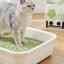 Petshy Green Tea Tofu Cat Litter 2.5kg