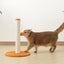 MY FIRST CAT TREE Pompom Orange