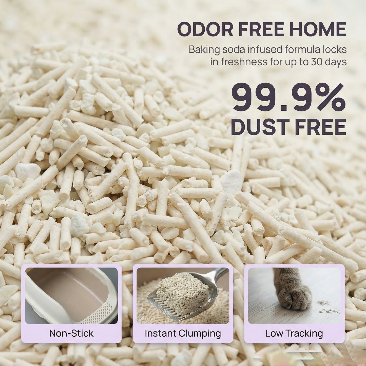 Petshy Cassava & Tofu Cat Litter 2.5kg