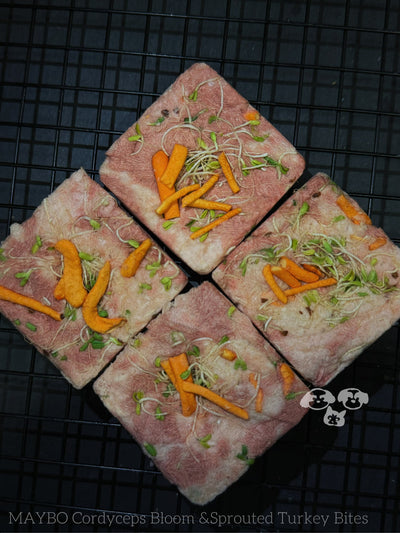 MAYBO Holistic Herbal Nutrition Box – Freeze-Dried Functional Treats with Cordyceps & Sesame Sprout (6 pcs)