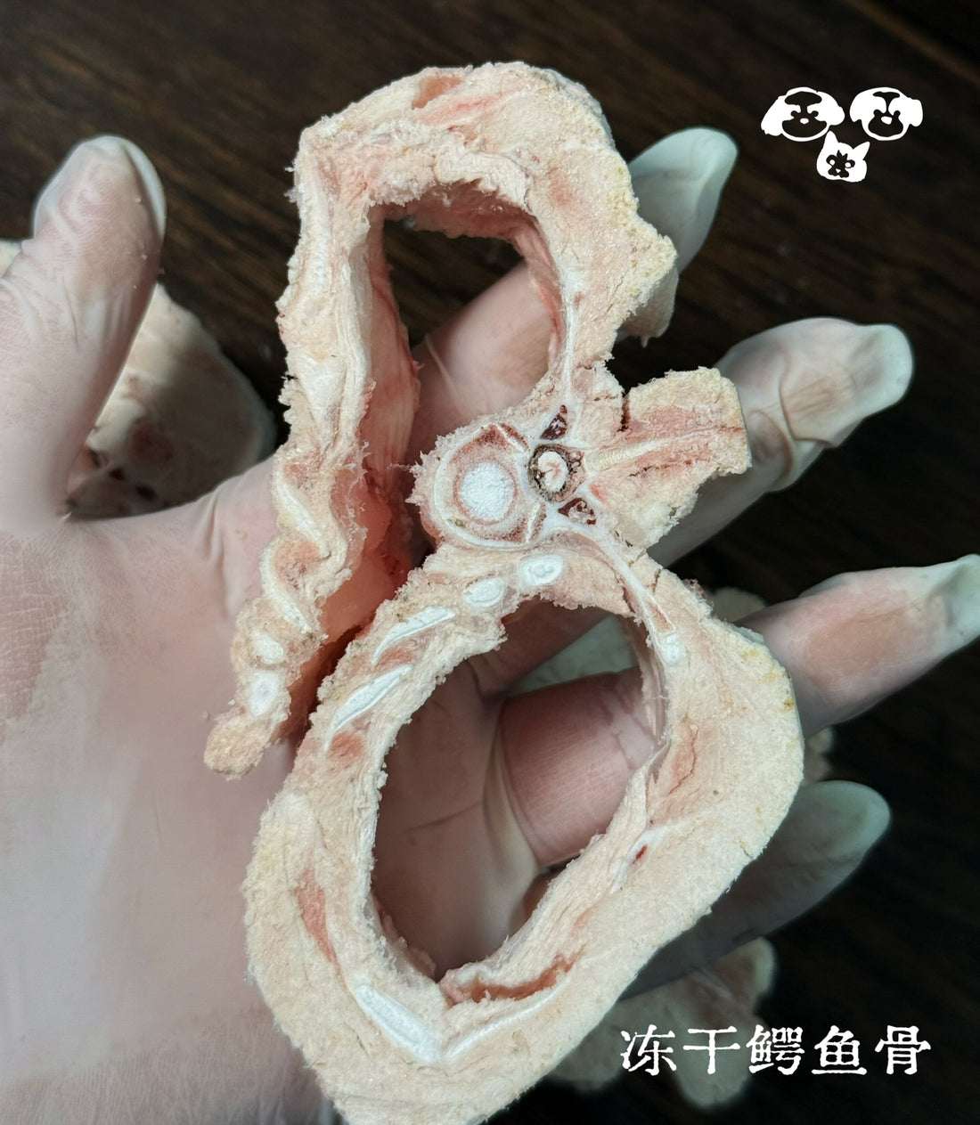 Freeze Dried Crocodile Bone 100g - ChokyoPetStore