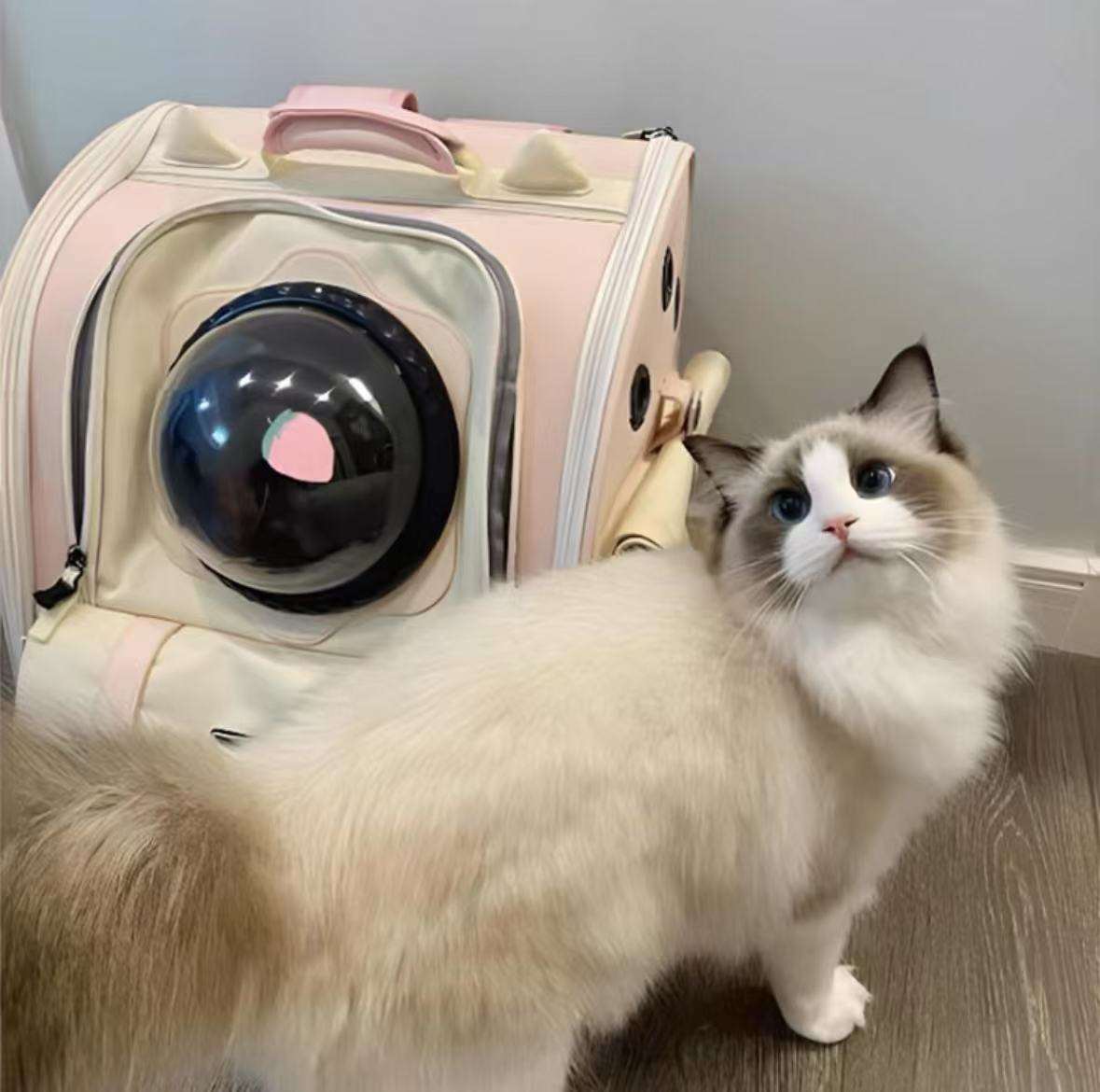 Pink Space Capsule Pet Backpack Carrier | Bubble Window Cat & Small Dog Travel Bag with Dual Entry & Front Treat Pocket - ChokyoPetStore