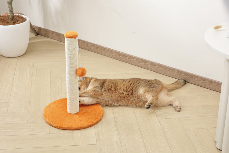 MY FIRST CAT TREE Pompom Orange