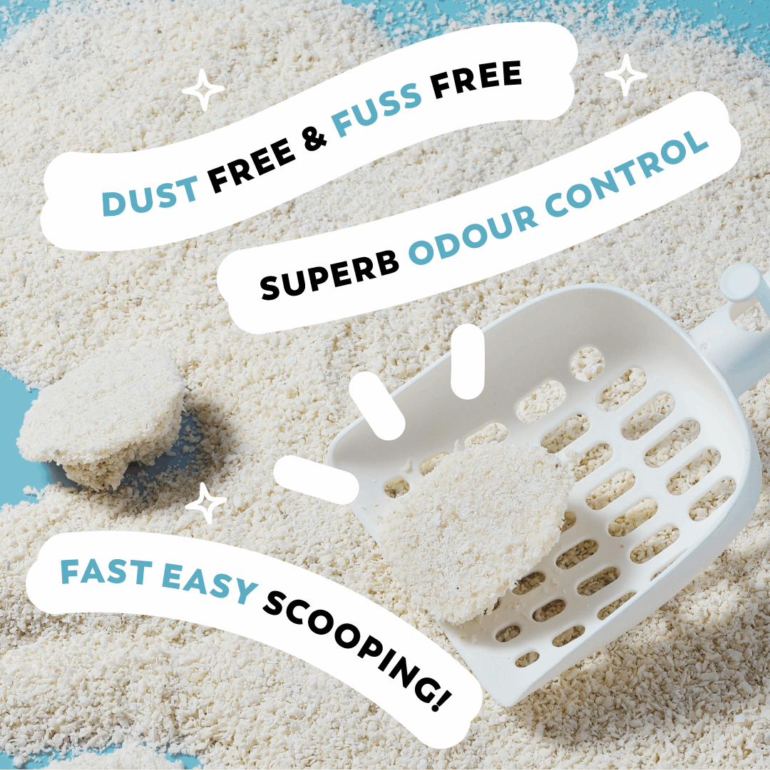 Pawkith Plant-Based Snow Litter - ChokyoPetStore
