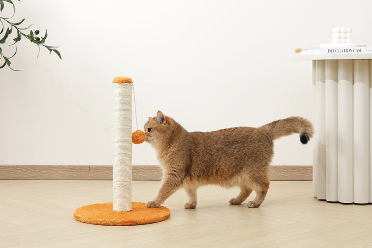 MY FIRST CAT TREE Pompom Orange