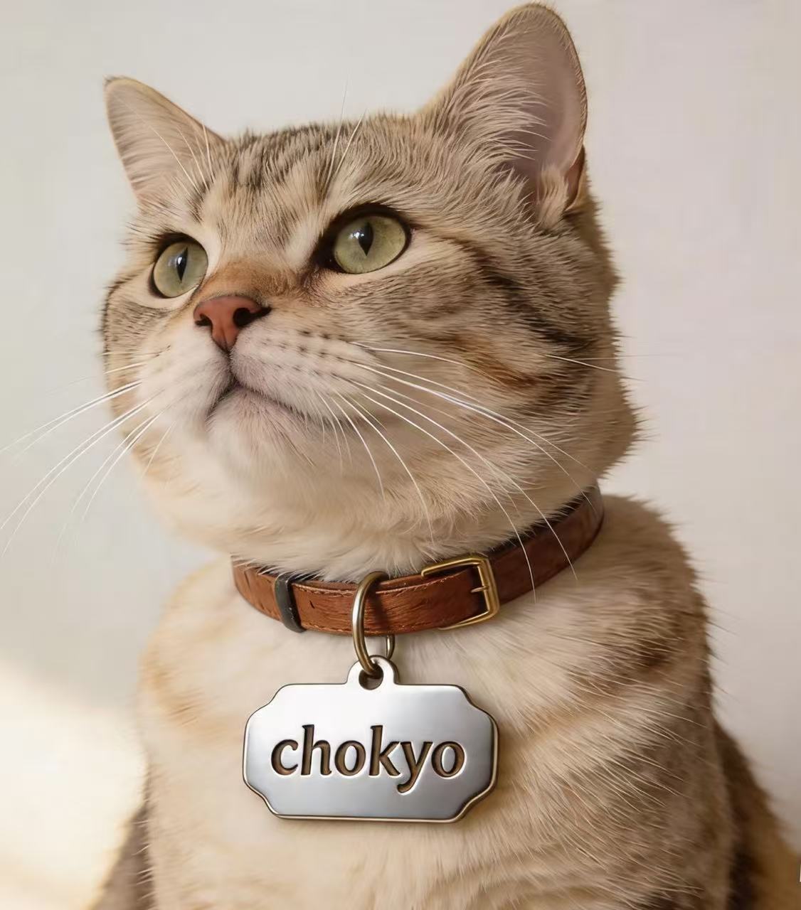 Custom Laser Engraved Pet Tag | Name & Phone ID Tag | Pet Portrait Tag
