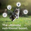 Ziwi Peak Beef Adult Cat Can 85g x 24